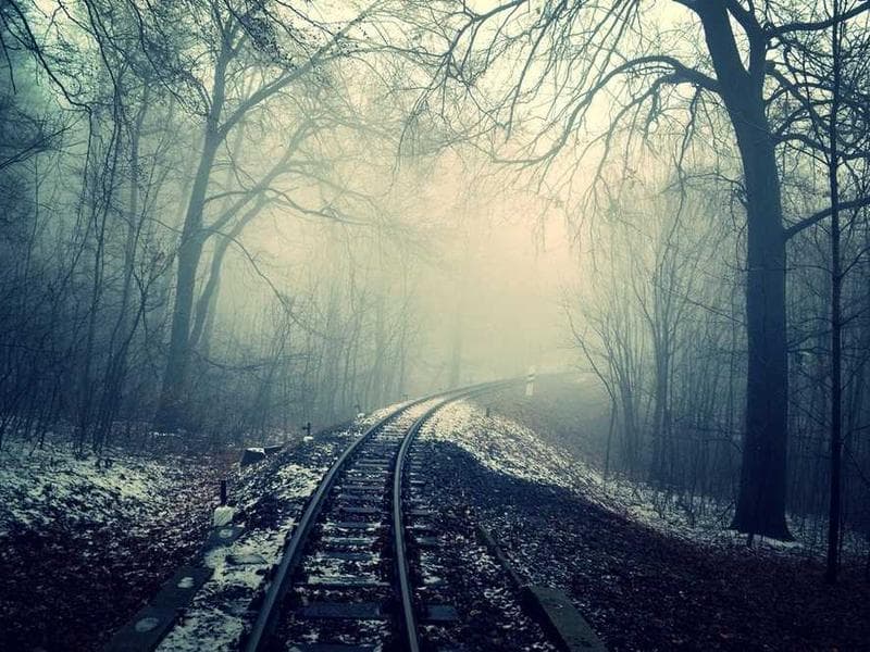 Elegant Awesome Bamboo Car