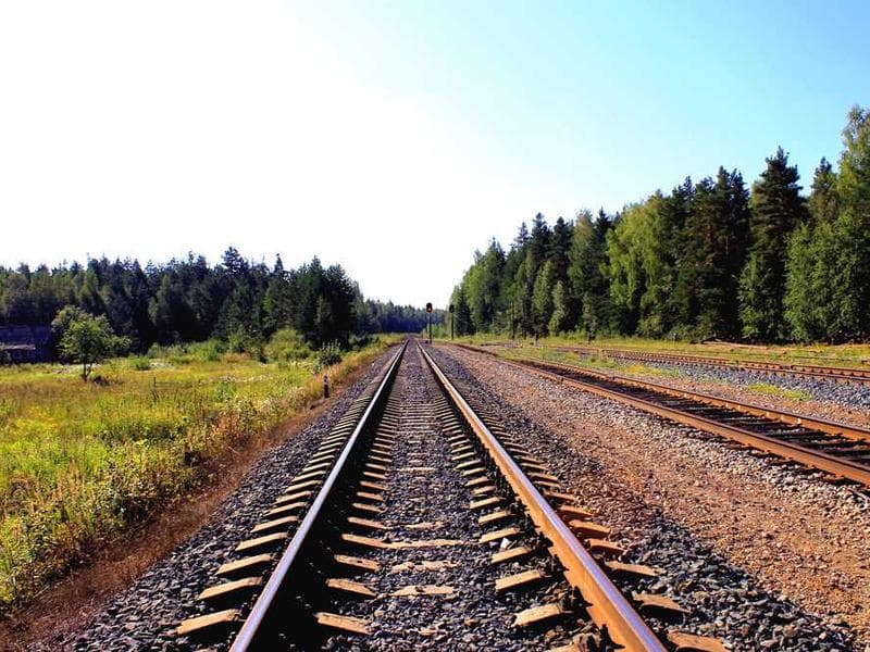 Elegant Awesome Bamboo Car