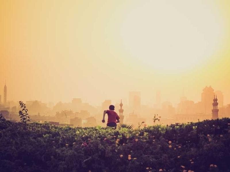 Rustic Refined Rubber Pizza