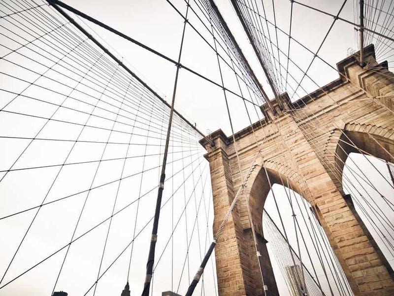 Electronic Licensed Gold Cheese