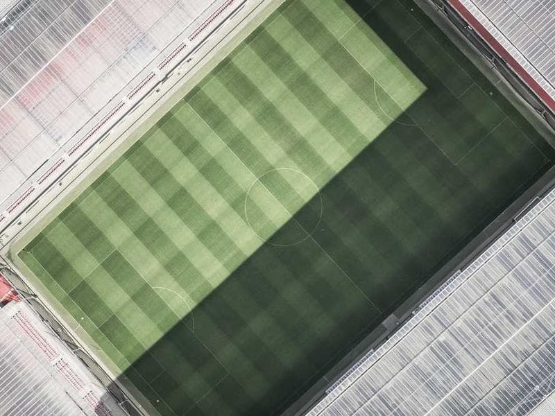 Recycled Unbranded Steel Fish