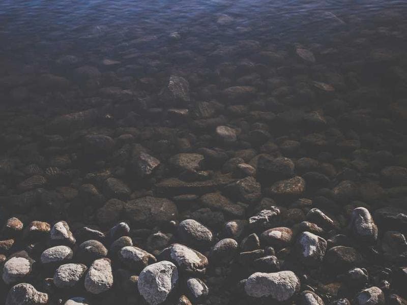 Handcrafted Refined Wooden Pants