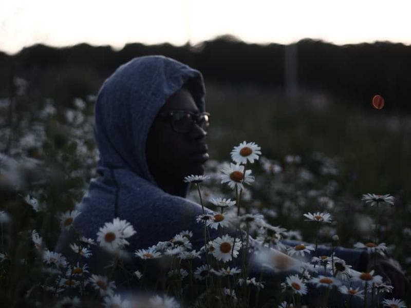 Handcrafted Refined Wooden Pants