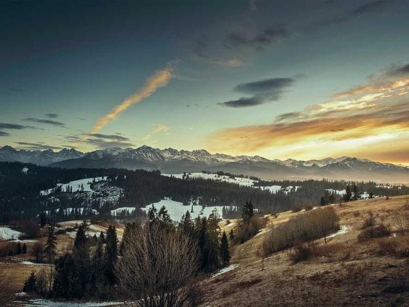 Intelligent Generic Concrete Ball