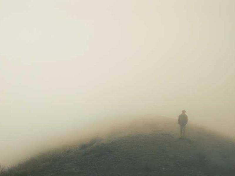 Sleek Gorgeous Bamboo Tuna