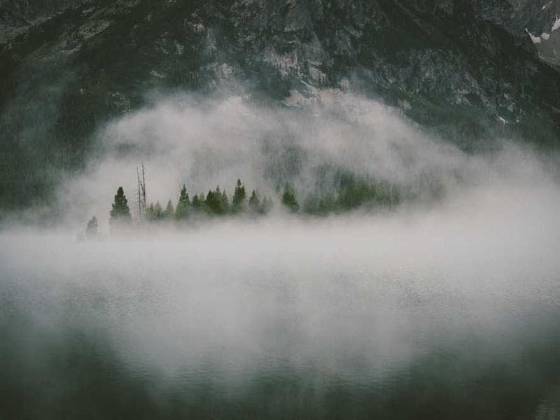 Rustic Generic Aluminum Chicken