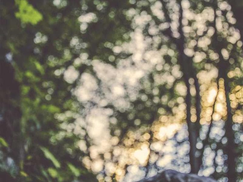 Generic Incredible Metal Bacon