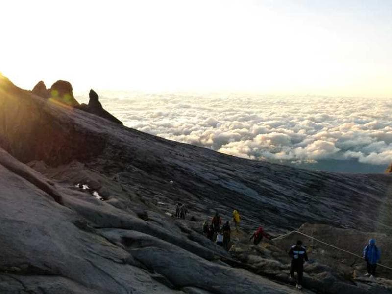 Small Luxurious Bamboo Pizza