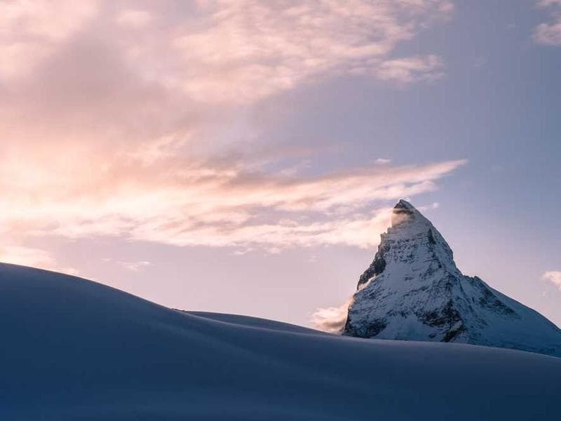Small Luxurious Bamboo Pizza