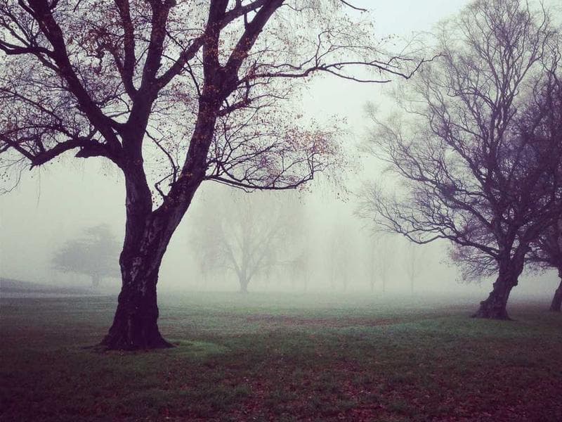 Small Luxurious Bamboo Pizza