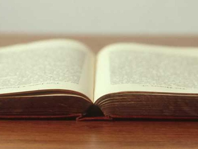 Unbranded Frozen Concrete Gloves