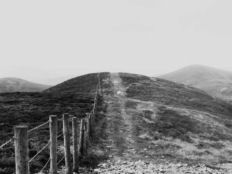 Bespoke Sleek Cotton Sausages
