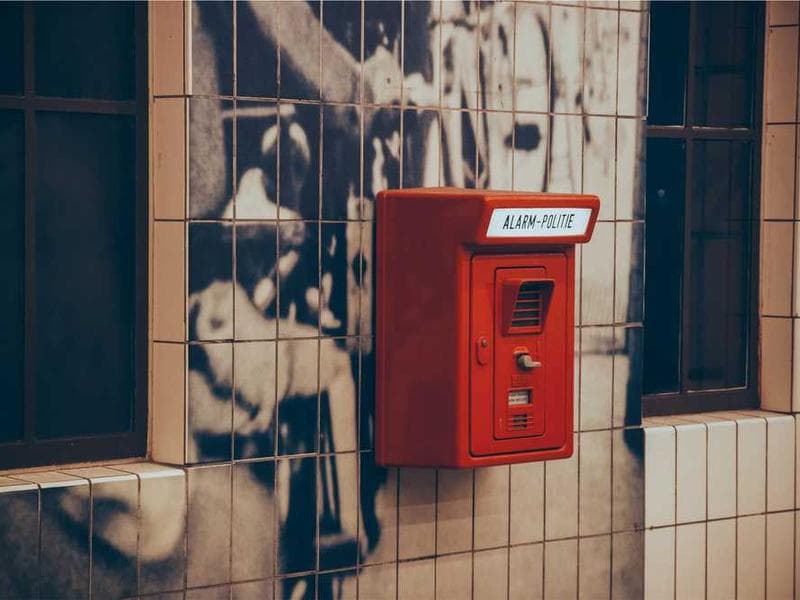 Refined Refined Bronze Chicken