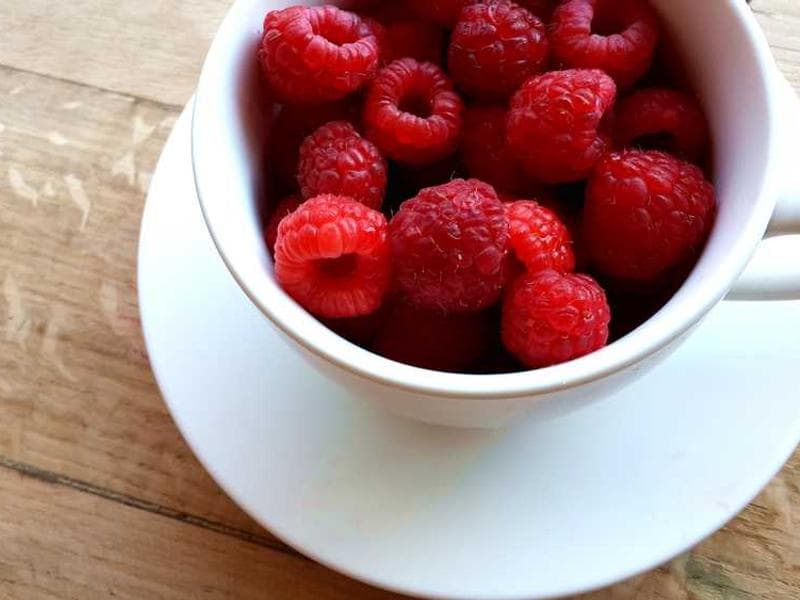 Refined Refined Bronze Chicken