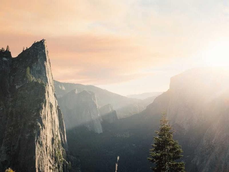 Refined Refined Bronze Chicken