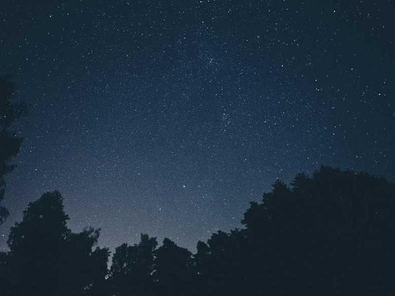 Awesome Oriental Steel Sausages