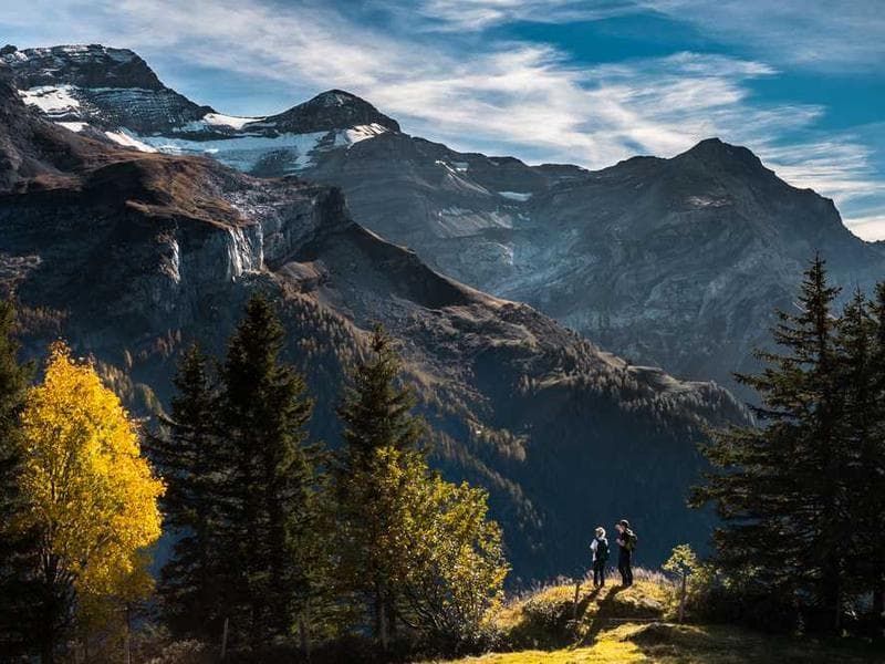 Awesome Gorgeous Plastic Cheese