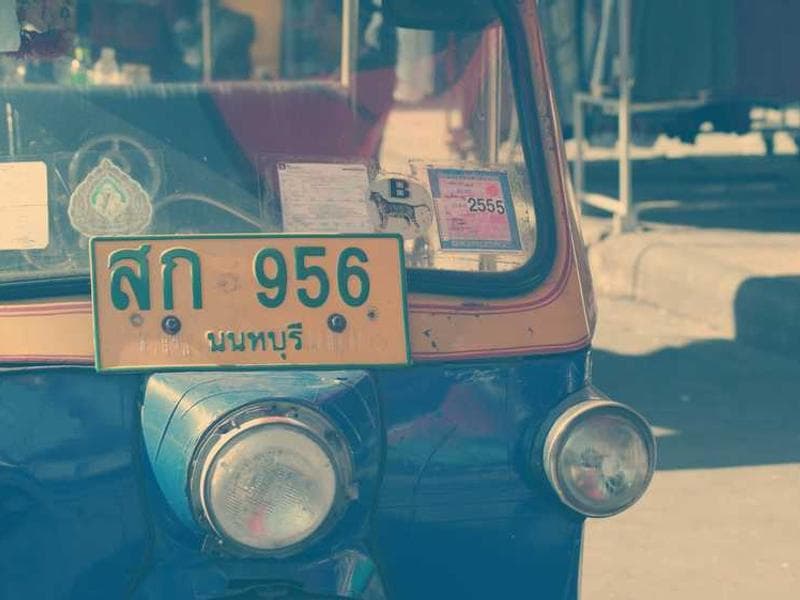 Awesome Gorgeous Plastic Cheese