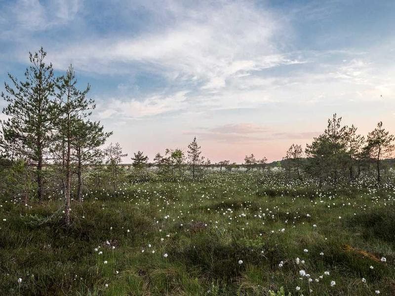 Soft Practical Concrete Salad