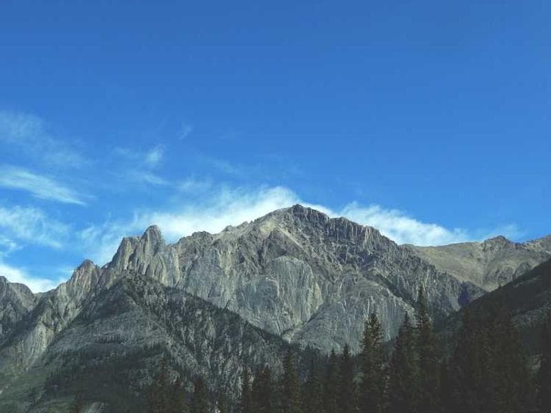 Soft Practical Concrete Salad