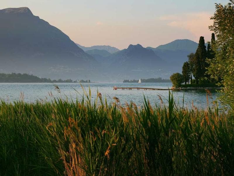 Soft Practical Concrete Salad