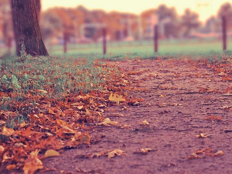 Gorgeous Gorgeous Steel Bike