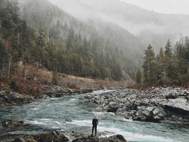 Modern Tasty Granite Cheese