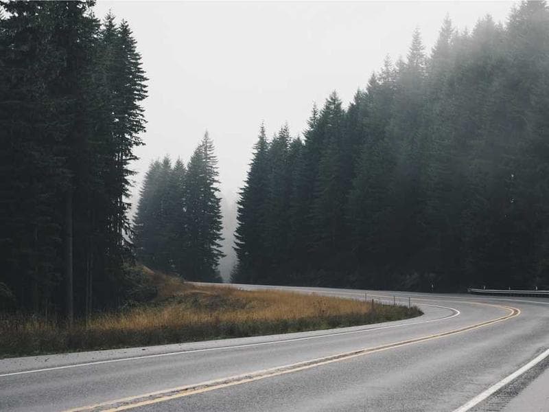 Electronic Bespoke Bamboo Fish