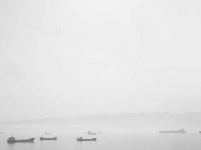 Electronic Bespoke Bamboo Fish