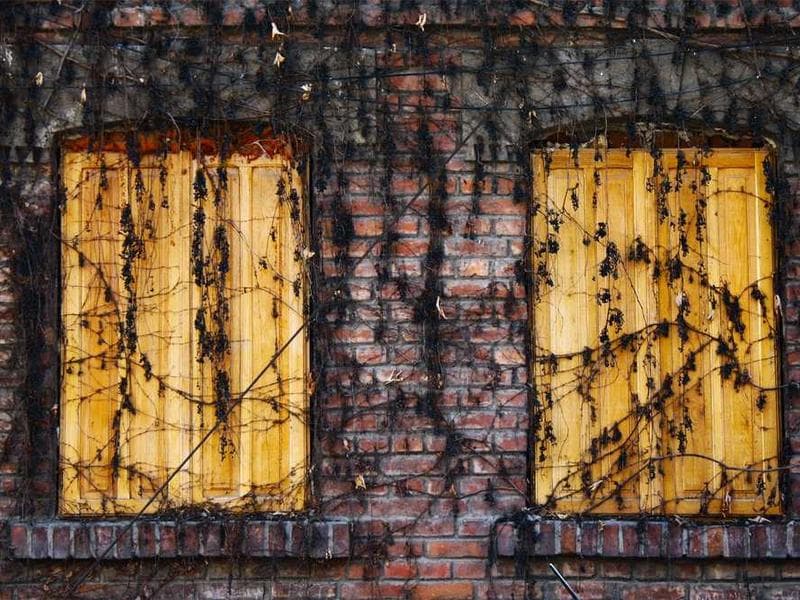 Soft Modern Steel Pizza