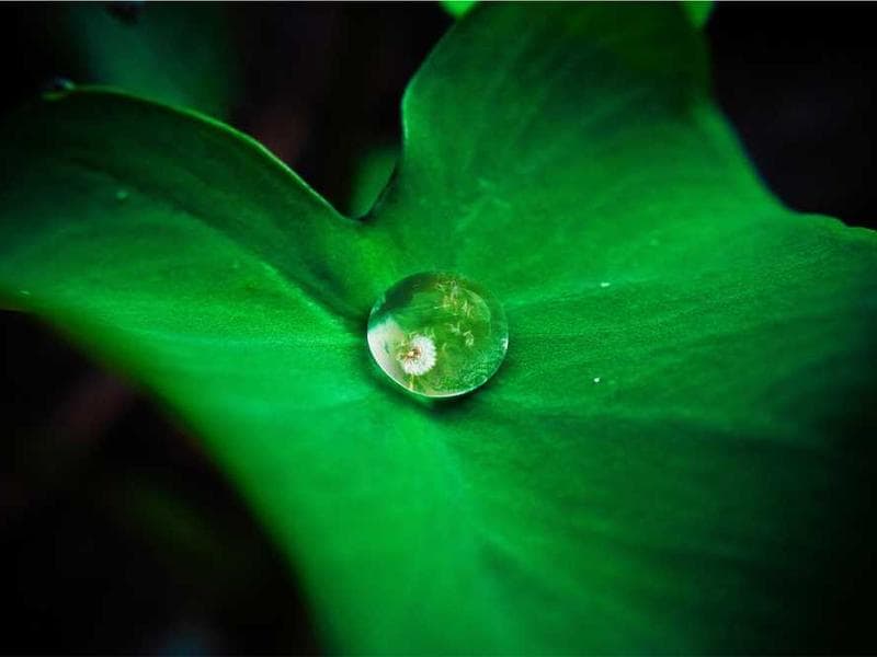 Soft Modern Steel Pizza