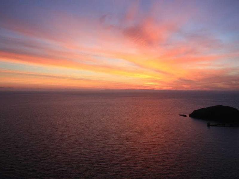 Frozen Small Silk Sausages